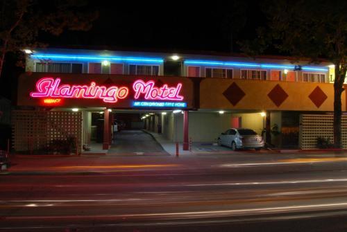 The Flamingo Motel Сан-Хосе Екстер'єр фото